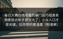 每日大赛在线观看的偏门技巧但真有用更适合新手被放大了：小众入口才是关键，比你想的更温柔（附清单）